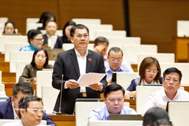 林同省代表杨克梅发表意见。图自越通社