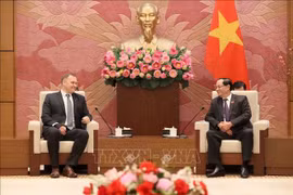 越南国会副主席陈光方上将会见匈牙利国会国家安全委员会主席佐尔坦·萨斯一行。图自越通社