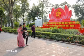 喜迎越共十四大的氛围蔓延各地。图自越通社