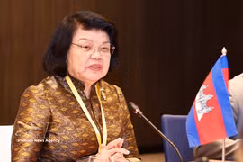 柬埔寨国会主席昆索达莉将对越南进行正式访问