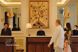 前来胡志明市旅游结合做医疗检查的外国游客日益增多。图自越通社