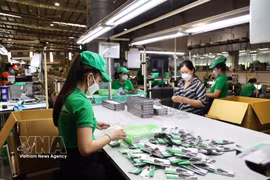 附图 图自越通社