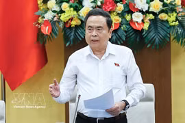 国会主席陈青敏在会上发表讲话。图自越通社