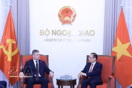越南外交部长黎怀忠在河内会见正在对越南进行工作访问的捷克和摩拉维亚共产党主席罗曼·劳恩。图自越通社
