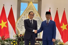 印度尼西亚外交部长苏吉约诺与越南外交部长黎怀忠共同主持越印双边合作委员会第六次会议。图自越通社