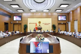 国会主席副主席阮氏红在会议上发表讲话。图自越通社