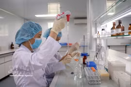 卫生部位于庆和省的疫苗与医学生物制品研究院的研究人员正在进行疫苗研究与检定工作。图自越通社