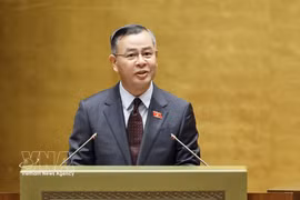 越南财政部长吴文俊发表讲话。图自越通社