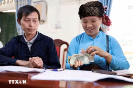 贫困户可获优惠贷款发展经济。图自越通社