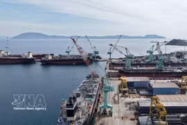 庆和省吸引战略投资者进入云峰经济区。