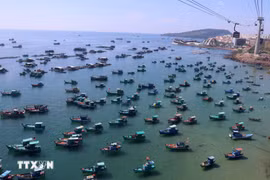 附图。图自越通社