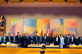 越南代表团在越加经济联合委员会第三次会议上合影留念。图：越通社发