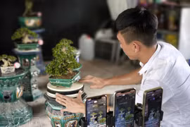 数字化转型：从提升管理效能到服务经济发