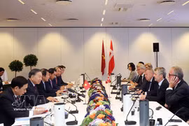 越共中央总书记、国家主席苏林与丹麦国王腓特烈十世会见丹麦部分代表性企业负责人。图自越通社