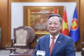 越南驻老挝大使阮明心接受越通社记者采访。图自越通社