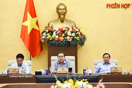 越南国会主席陈青敏发表讲话。图自越通社