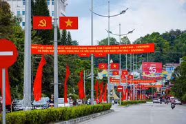 党旗、国旗以及横幅、标语在奠边府坊各街道营造了热烈喜庆的氛围。图自越通社