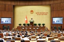 第十六届国会第一次会议上，国会通过了四项税法修正案及2027年国会监督计划。图自越通社