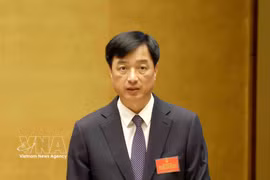 贯彻落实越共十四届二中全会决议全国会议：中央组织部部长阮维玉作关于党章执行规定的专题报告