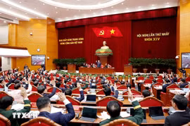各位中央委员表决通过第十四届中央政治局委员名单。图自越通社