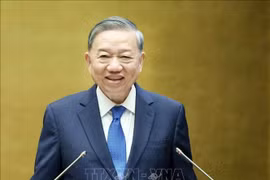 越共中央总书记苏林出席会议并发表指导性讲话。图自越通社