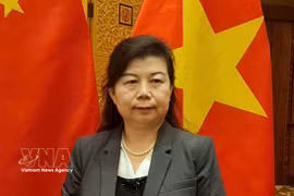 中国人民大学重阳金融研究院研究员刘英接受越通社驻中国记者采访。图自越通社