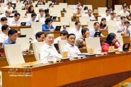 越共中央总书记、国家主席苏林出席会议。图自越通社