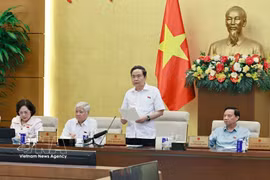 国会主席陈青敏在会议上发表讲话。图自越通社