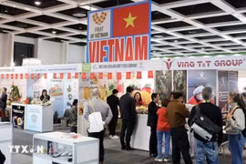 越南在第33届柏林国际果蔬展（Fruit Logistica）上的战区。图自越通社