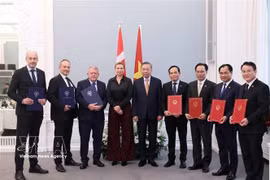 苏林总书记、国家主席与梅特·弗雷泽里克森首相共同见证了两国各部委、机构和企业的合作文件交换仪式。图自越通社