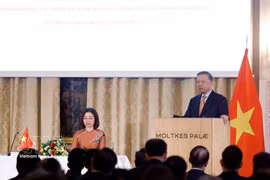 越共中央总书记、国家主席苏林会见驻丹麦大使馆干部、职工及旅居丹麦、冰岛和瑞典南部越南人代表。图自越通社