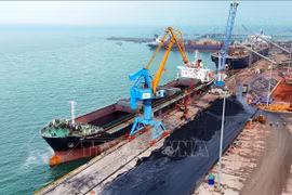 永昂港3号码头总投资额超过1万亿越南盾，长度为225米，能够接卸载重吨位达4.5万的船舶，年设计吞吐能力约215万吨。图自越通社
