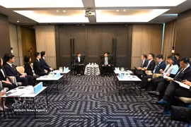 中央科技、创新和数字化转型指导委员会常务副主任阮维玉与泰国国家科学技术发展局（NSTDA）举行工作会谈。图自越通社