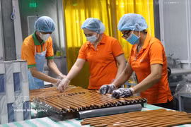 永隆省梂棋（Cầu Kè）椰蓉加工有限公司工人正在加工椰蓉产品。图自越通社