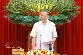 越共中央总书记、国家主席苏林在会议上发表讲话。图自越通社
