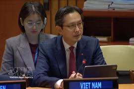 越南常驻联合国代表团团长杜雄越大使出席会议。图：越通社发