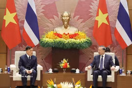 越共中央总书记、国家主席苏林与泰国国王玛哈·哇集拉隆功举行会谈。图自越通社