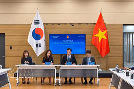 越南驻韩国大使武胡（右二）主持座谈会。图自越通社