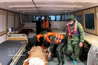 迅速将突发中风的外国游客送岸就医。图自越通社