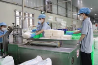 2023年九龙江平原的FDI资金仅占全国的2%。图自越通社