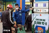 15日15时起越南国内成品油价格全部反弹回升。图自越通社