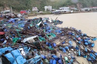 洪水对得乐省水产养殖网箱造成了严重破坏。图自越通社