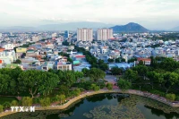 保护环境是可持续发展的动力。图自越通社