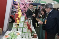 国际游客参观春季博览会。图自越通社