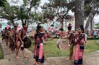 嘉莱省努力保护锣钲文化价值。图自越通社