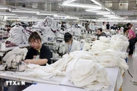 附图：2026年两位数的增长目标完全可行。图自越通社