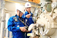 附图 图自baochinhphu.vn