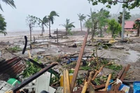 凤凰台风“凤凰”对菲律宾造成重大损失。图自越通社