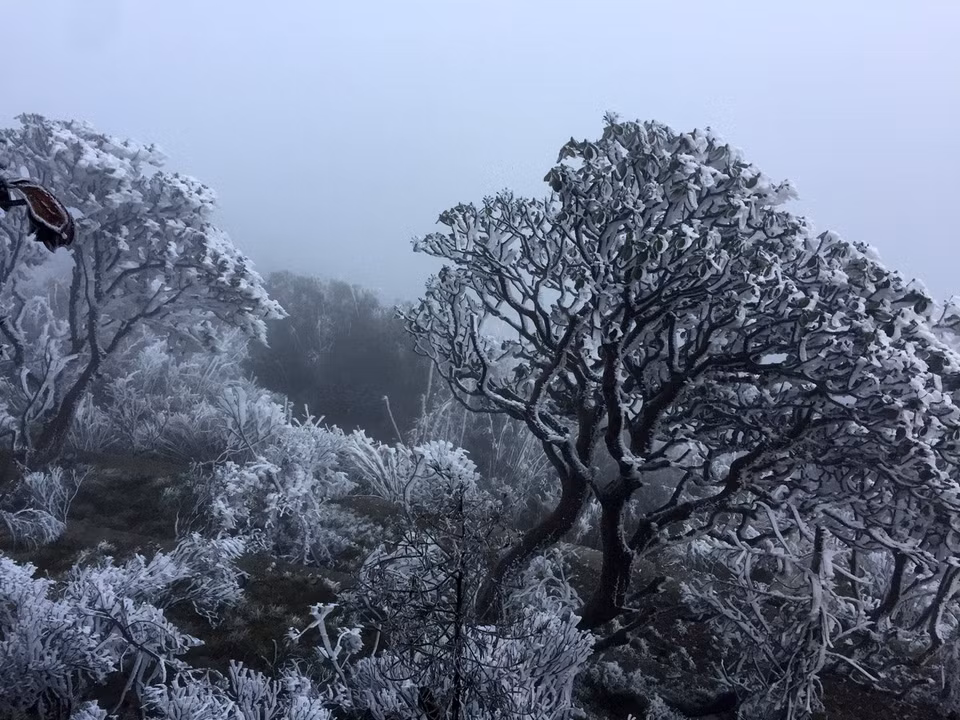 老节省沙巴县气温突然下降 部分地区出现霜冻天气。越通社记者 国庆 摄