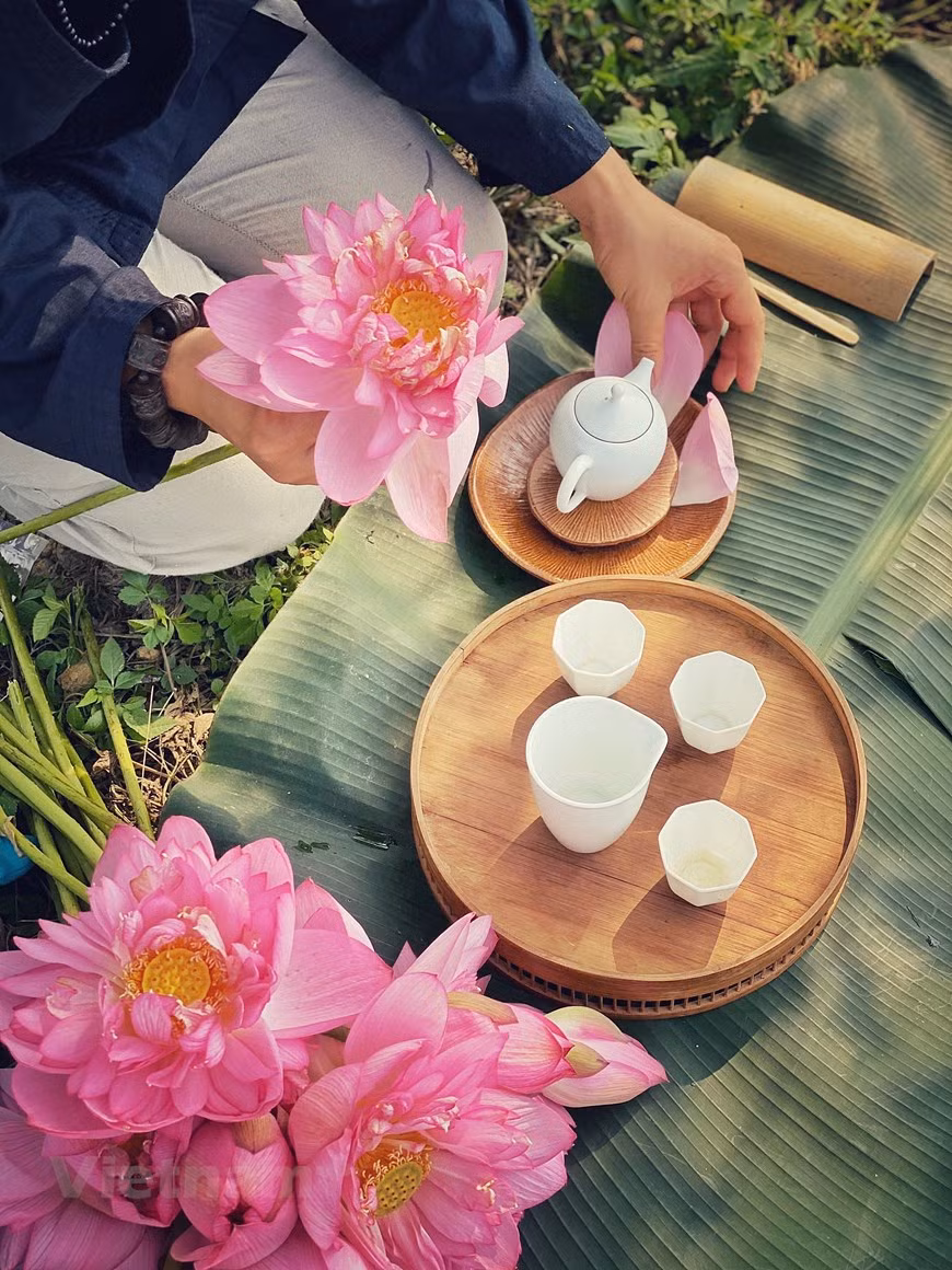 在盛开、清香四溢的莲花潭畔准备一壶莲花茶，慢慢品尝莲花茶的芳香,感受着生活的舒散惬意。 河内人将品莲花茶视为纯粹的京都独特文化艺术。品莲花茶越是繁复精致越能从中感受茶的清心与静心。莲花茶也因窨制工序的复杂细致、窨茶人的精巧用心而更显珍贵。窨茶人朝思暮想的就是如何保留河内人独有的文化之美。图：Vietnam+